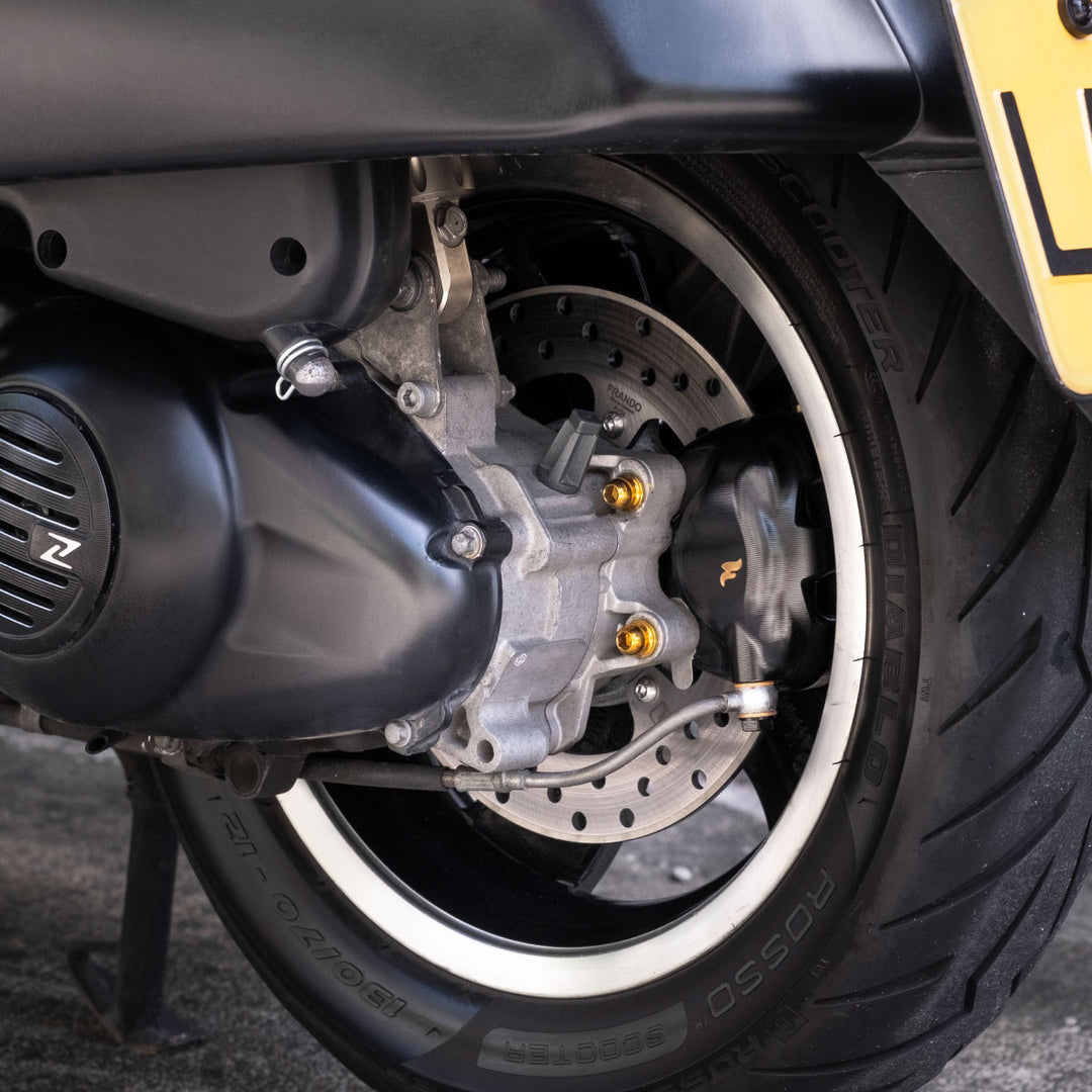 偉士牌 VESPA GTS / GTV 300 專用｜220mm 固定碟盤 FV02A/FV02